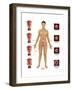 Cervical Cancer-Gwen Shockey-Framed Art Print