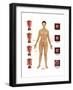 Cervical Cancer-Gwen Shockey-Framed Art Print