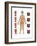 Cervical Cancer-Gwen Shockey-Framed Art Print