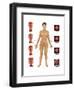 Cervical Cancer-Gwen Shockey-Framed Art Print