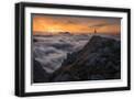 Black Frame