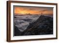 Brown Frame