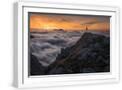 White Frame