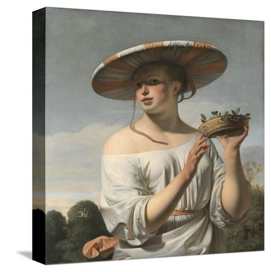 Stretched Canvas Print, , large