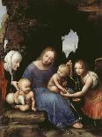 La Vierge et l'Enfant Jésus avec Sainte Elisabeth, Saint Jean et Saint Michel, dite : La Vierge-Cesare Da Sesto-Mounted Giclee Print