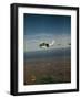 Cessna 210 Centurion Flying-null-Framed Photographic Print