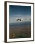 Cessna 210 Centurion Flying-null-Framed Photographic Print