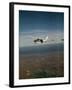 Cessna 210 Centurion Flying-null-Framed Photographic Print