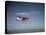 Cessna Skyhawk Flying-null-Stretched Canvas