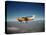 Cessna Superlobe Flying-null-Stretched Canvas