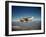 Cessna Superlobe Flying-null-Framed Premium Photographic Print