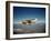 Cessna Superlobe Flying-null-Framed Photographic Print