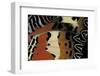 Cethosia Hypsea (Malay Lacewing) - Wings Detail-Paul Starosta-Framed Photographic Print