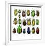 Cetonidae - Flower Beetle Design-Darrell Gulin-Framed Photographic Print