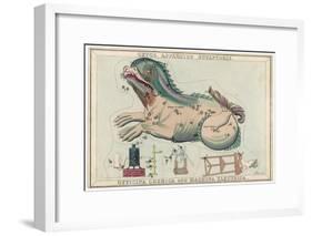 Cetus (Sea Monster) and Chemical Factory and Electrical Machinery Constellation-Sidney Hall-Framed Art Print