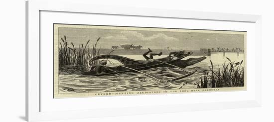 Ceylon, Hunting Alligators in the Pool Near Kalmunai-null-Framed Giclee Print