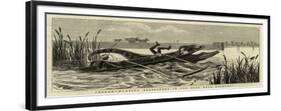 Ceylon, Hunting Alligators in the Pool Near Kalmunai-null-Framed Giclee Print