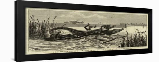 Ceylon, Hunting Alligators in the Pool Near Kalmunai-null-Framed Giclee Print