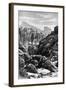 Ceylon (Sri Lank), 1895-null-Framed Giclee Print