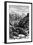 Ceylon (Sri Lank), 1895-null-Framed Giclee Print