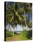 Ceylon, Sri Lanka, Highland, Tea Plantation-Thonig-Stretched Canvas