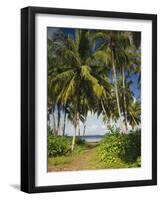 Ceylon, Sri Lanka, Highland, Tea Plantation-Thonig-Framed Photographic Print