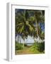 Ceylon, Sri Lanka, Highland, Tea Plantation-Thonig-Framed Photographic Print