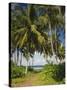 Ceylon, Sri Lanka, Highland, Tea Plantation-Thonig-Stretched Canvas