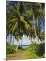 Ceylon, Sri Lanka, Highland, Tea Plantation-Thonig-Mounted Photographic Print