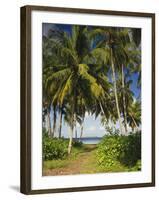 Ceylon, Sri Lanka, Highland, Tea Plantation-Thonig-Framed Photographic Print