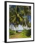 Ceylon, Sri Lanka, Highland, Tea Plantation-Thonig-Framed Photographic Print