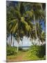 Ceylon, Sri Lanka, Highland, Tea Plantation-Thonig-Mounted Photographic Print