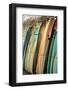 Ceylone Sliders-Shot by Clint-Framed Photographic Print