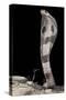 Ceylonese Cobra Display (Naja Naja Polyocellata)-null-Stretched Canvas