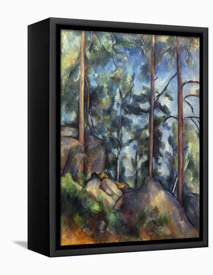 Cezanne: Pines, 1896-99-Paul C?zanne-Framed Stretched Canvas