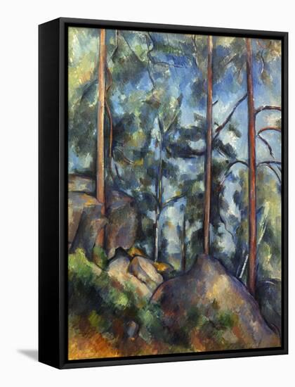 Cezanne: Pines, 1896-99-Paul C?zanne-Framed Stretched Canvas