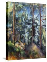 Cezanne: Pines, 1896-99-Paul C?zanne-Stretched Canvas