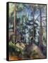 Cezanne: Pines, 1896-99-Paul C?zanne-Framed Stretched Canvas