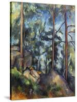 Cezanne: Pines, 1896-99-Paul C?zanne-Stretched Canvas