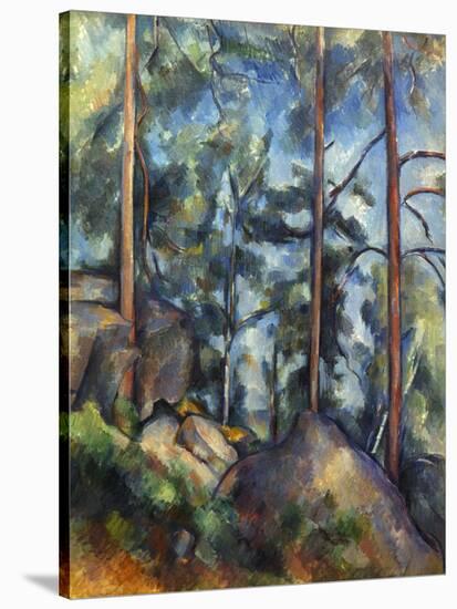 Cezanne: Pines, 1896-99-Paul C?zanne-Stretched Canvas