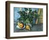 Cezanne: Still Life, C1888-Paul Cézanne-Framed Giclee Print