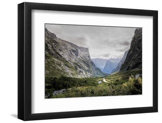 Premium Photographic Print, , large