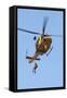 Ch-146 Griffon Helicopter of the Canadian Air Force-null-Framed Stretched Canvas