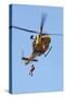 Ch-146 Griffon Helicopter of the Canadian Air Force-null-Stretched Canvas