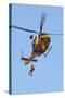 Ch-146 Griffon Helicopter of the Canadian Air Force-null-Stretched Canvas