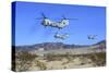 Ch-46E Sea Knight Transport Helicopters Fly over Camp Wilson-null-Stretched Canvas