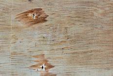 Traces on Wood-chabkc-Photographic Print