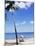 Chac Beach, Near Castries, St. Lucia, Windward Islands, West Indies, Caribbean, Central America-Yadid Levy-Mounted Photographic Print