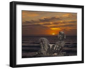 Chac Mol, Cancun, Mexico-Demetrio Carrasco-Framed Photographic Print