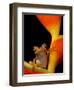 Chachi Tree Frog, Choco Forest, Ecuador-Pete Oxford-Framed Premium Photographic Print